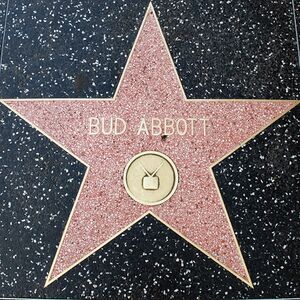 Bud Abbott's Walk of Fame Star.jpg