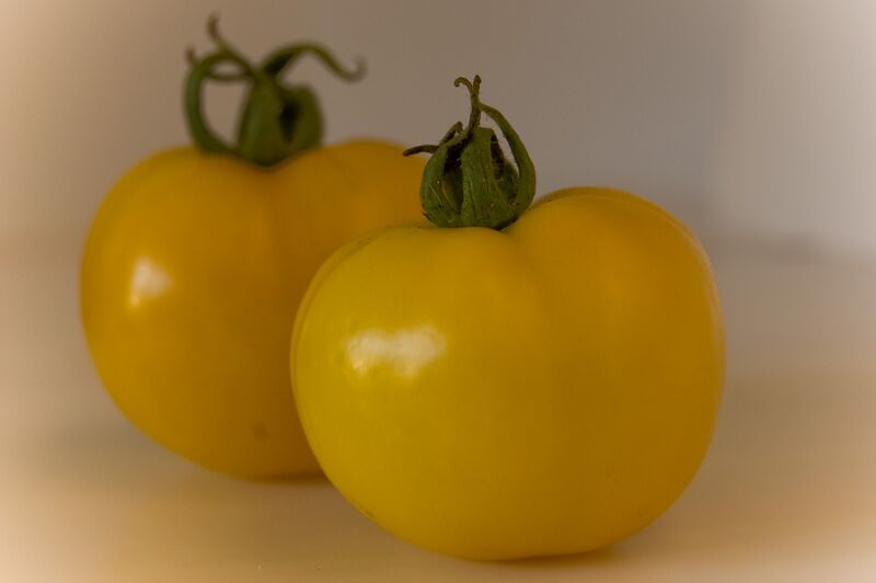 File:Tomato Golden sunrise.jpg
