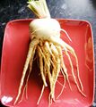 Parsnip