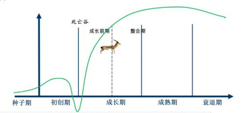 瞪羚企业成长路径