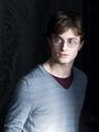 Harry Potter (infobox).jpg