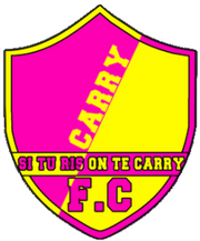 Carrylogo1.png