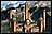 Town portrait Conflux small.png