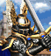 Paladin portrait.gif