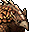 Mini Portrait Armadillo.png