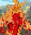 Fire Elemental