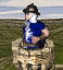 Castle