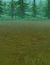 CreatureBackground Neutral Forest.png