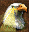 Advanced Eagle Eye small.png