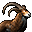 Mini Portrait Mountain Ram.png