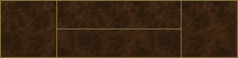 Dwelling-portrait-box2-leather-dark.png