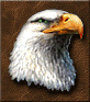 Basic Eagle Eye large.png