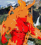 Fire Elemental portrait.png