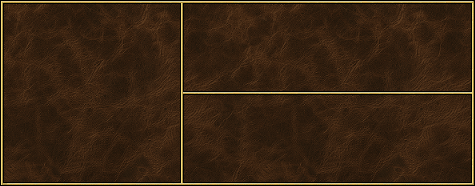 Dwelling-portrait-box-small-leather-dark.png