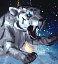 White Tiger portrait.gif