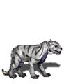 Creature White Tiger.png