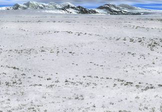 Snow (Mountains) Available when fighting on snow with 2 snow mountain tiles surrounding the combat tile.