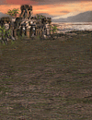Crbkgcov.png