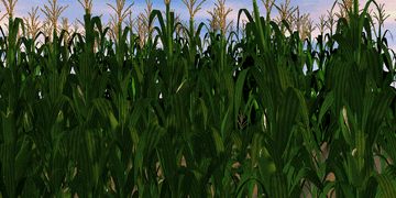 Walking Dead (Harvest  prologue)