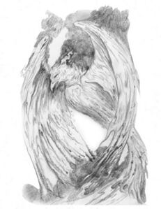 Phoenix (AB manual p17)