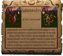 Information on Salamanders