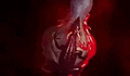 C1db2.gif