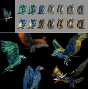 Stormbird evolution.png