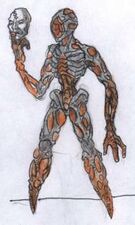 Proteus