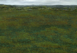 Swamp (Mountains)  Available when fighting on swamp with 2 swamp mountain tiles surrounding the combat tile.