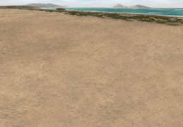 Combat Sand-Beach.png