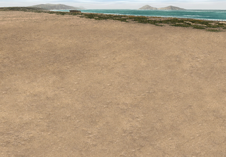 Sand (Beach) Available when fighting on any terrain on a tile adjacent to water.