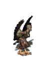 Creature Harpy.png