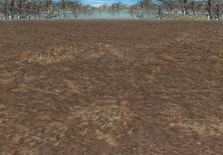 Dirt (Dead Trees) Available when fighting on dirt with dead trees within 3 tiles of the combat tile.