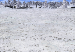 Combat Snow-Trees.png