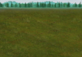 Combat Grass-Trees.png