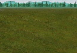 Combat Grass-Trees.png