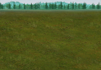 Grass Default grass battlefield.