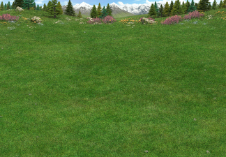 Highlands  Default highlands battlefield.