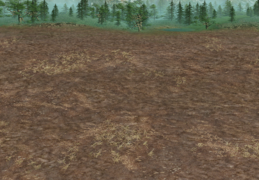 Combat Dirt-Trees.png