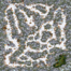 Crystal Dragons map auto.png