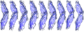 C15spe10.png