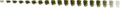 Sp05 .png