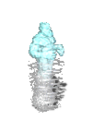 Creature Air Elemental.png