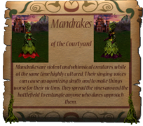 Information on Mandrakes
