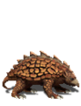 Creature Armadillo.png