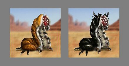 Sandworm and Olgoi-Khorkhoi early concepts (art by nosferatu)