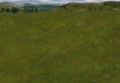 Combat Grass-Mountains.png