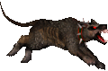 Hell Hound render.gif