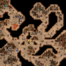 A Distant Cry map tiny.png