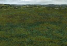 Combat Swamp-Heathlands.png